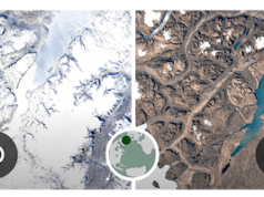 CAMBIO CLIMÁTICO: EN EL DÍA DE LA TIERRA EL DOODLE DE GOOGLE CONCIENTIZA SOBRE EL TEMA.