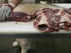 CRUZ DEL EJE: DECOMISAN 500KG DE CARNE.