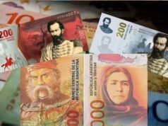 NUEVOS BILLETES: EL MÁS ALTO SIGUE SIENDO DE 1000 PESOS. ¡CHAU A LOS ANIMALITOS!