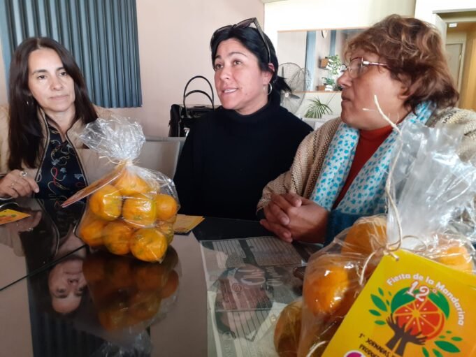 SE VIENE LA 12° FIESTA DE LA MANDARINA EN QUILINO.