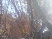 COLONIA CAROYA: ACCIDENTE DE TRÁNSITO CON VÍCTIMA FATAL.