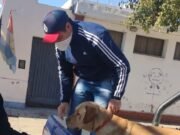 JESÚS MARÍA: TRAS UN ALLANAMIENTO POSITIVO RESCATARON A UN PERRO DE LA DIVISIÓN K9 DE BOMBEROS.