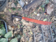 CÓRDOBA: UN JOVEN MATÓ A MACHETAZOS A SU SOBRINO DE 12 AÑOS EN B° KAIROS. TAMBIEN HIRIÓ A SU MAMÁ Y HERMANA.