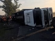 SANTA FÉ: VOLCÓ UN CAMIÓN CON 50 VACAS Y LA GENTE LAS FAENÓ EN LA RUTA.