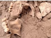 VILLA LOS AROMOS: HALLARON RESTOS FÓSILES MIENTRAS EXCAVABAN PARA CLOACAS.