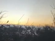 INCENDIO ZONA DIQUE LOS MOLINOS: ACTUALMENTE CONTENIDO EN UN 80%.