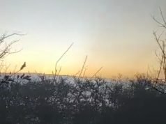 INCENDIO ZONA DIQUE LOS MOLINOS: ACTUALMENTE CONTENIDO EN UN 80%.