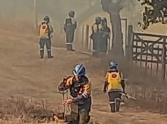 SALSIPUEDES: BOMBEROS LOGRARON CONTENER EL INCENDIO.