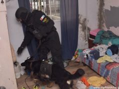 CRUZ DEL EJE: LA FPA DESBARATÓ UNA BANDA QUE INGRESABA DROGAS AL PENAL ANDRÉS ABREGÚ.