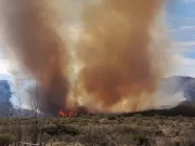 BOMBEROS COMBATEN INCENDIO EN LA ZONA DEL DIQUE LOS MOLINOS.
