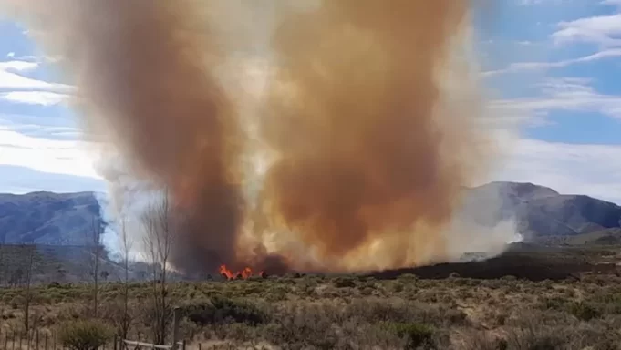 BOMBEROS COMBATEN INCENDIO EN LA ZONA DEL DIQUE LOS MOLINOS.