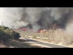 GRAN INCENDIO FORESTAL EN LA ZONA DE INTI HUASI POR RUTA PROVINCIAL 16. ¡MIRÁ LAS IMÁGENES!