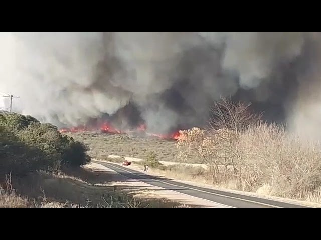 GRAN INCENDIO FORESTAL EN LA ZONA DE INTI HUASI POR RUTA PROVINCIAL 16. ¡MIRÁ LAS IMÁGENES!