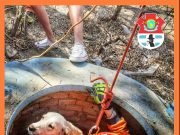 B°9 DE JULIO: BOMBEROS RESCATARON A UN PERRITO QUE CAYÓ EN UN ALJIBE SIN AGUA.