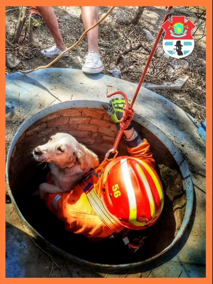 B°9 DE JULIO: BOMBEROS RESCATARON A UN PERRITO QUE CAYÓ EN UN ALJIBE SIN AGUA.