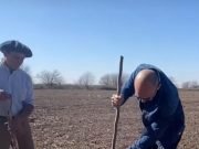 ABEL PINTOS PLANTARÁ 6.000 ÁRBOLES EN SU CIUDAD BONAERENSE DE MERCEDES. ¡YA PLANTÓ LOS PRIMEROS MIL!