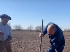 ABEL PINTOS PLANTARÁ 6.000 ÁRBOLES EN SU CIUDAD BONAERENSE DE MERCEDES. ¡YA PLANTÓ LOS PRIMEROS MIL!