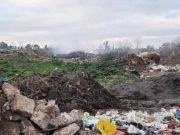 DESGARRADOR: HALLARON EL CUERPITO CALCINADO DE UN BEBÉ RECIEN NACIDO EN UN BASURAL.