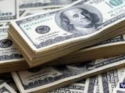 TRAS LA GRAN DERROTA DE MASSA EL GOBIERNO DEVALÚA EL PESO 22% Y EL BANCO CENTRAL SUBE A $350 EL DÓLAR OFICIAL. EL BLUE COTIZA EN CBA A MÁS DE 700.