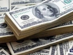 EFECTO MASSA: TRAS LOS ANUNCIOS EL DÓLAR BAJÓ A $291.