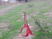 PASA EN REDES: BUSCAN A “TANGACIENTA”. UNA JUJEÑA QUE SE OLVIDÓ SU ROPA INTERIOR EN UNA RAMA. 🤣