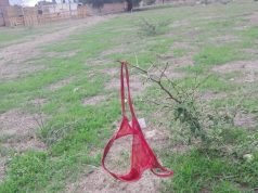 PASA EN REDES: BUSCAN A “TANGACIENTA”. UNA JUJEÑA QUE SE OLVIDÓ SU ROPA INTERIOR EN UNA RAMA. 🤣