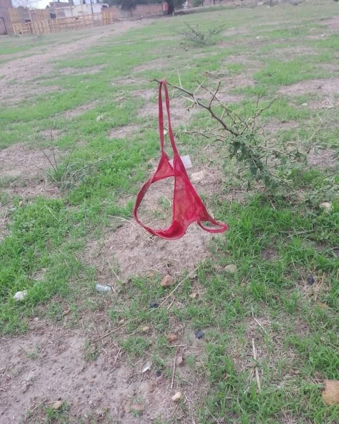 PASA EN REDES: BUSCAN A “TANGACIENTA”. UNA JUJEÑA QUE SE OLVIDÓ SU ROPA INTERIOR EN UNA RAMA. 🤣