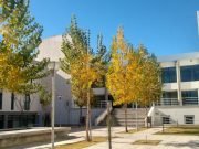 RIO CUARTO: AUTORIZARON A UNA MUJER VÍCTIMA DE VIOLENCIA DE GÉNERO A MUDARSE A OTRA PROVINCIA CON SUS HIJOS.