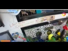 PASA EN REDES: ASEGURAN HABER OÍDO LA VOZ DE “EL NOBA” DESDE SU TUMBA.