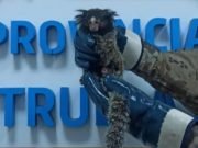 CÓRDOBA: RESCATARON UN MONITO TITÍ DE UN ÁRBOL EN B° CABILDO.