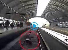 INCREÍBLE: UN HOMBRE CAYÓ A LAS VÍAS Y UN TREN LE PASÓ POR ENCIMA. FELIZMENTE NO LE HIZO NADA.