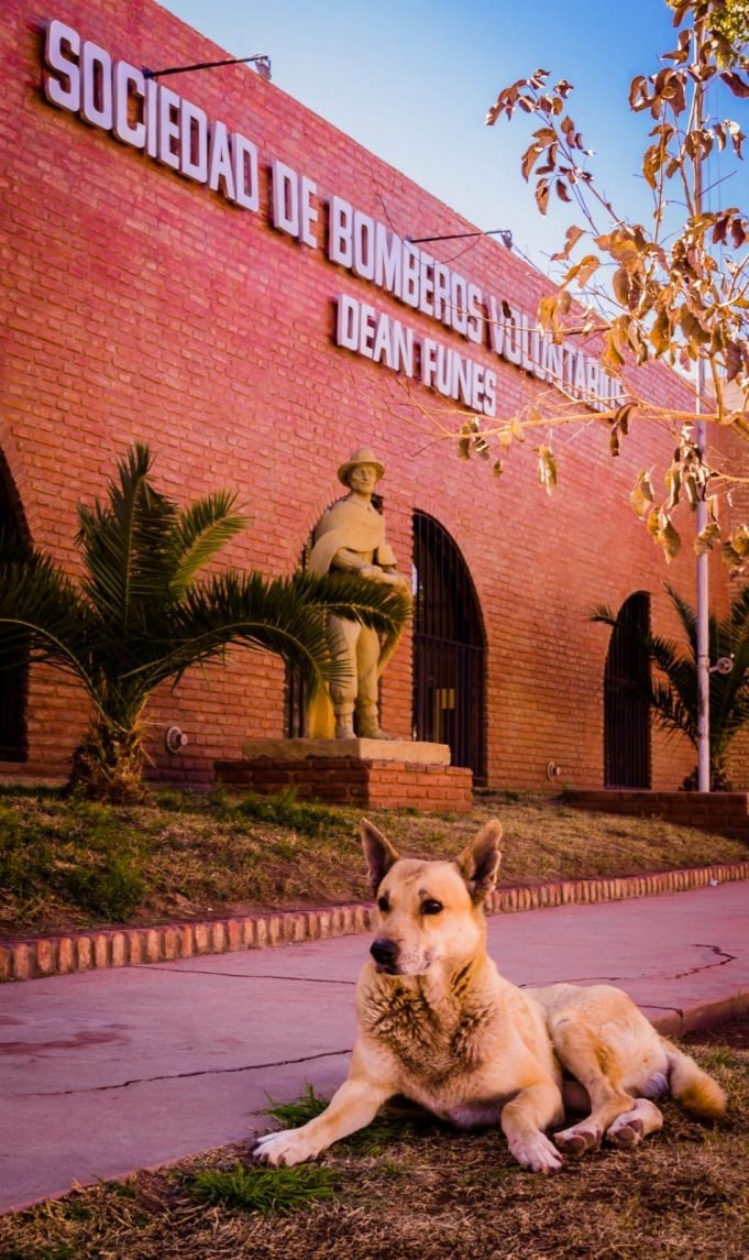 MURIÓ K9: EL PERRITO BOMBERO DEL CUARTEL DE DEÁN FUNES.