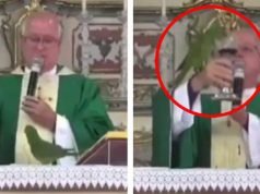 PASA EN REDES: UN LORITO INTENTÓ TOMARLE EL VINO A UN CURA EN MEDIO DE LA MISA ¡MIRÁ!