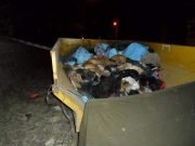 MATANZA DE PERROS: CONDENARON A 4 AÑOS DE PRISIÓN A GERMÁN FACCHÍN Y 3 AÑOS DE PRISIÓN CONDICIONAL A LOS DEMÁS INVOLUCRADOS.