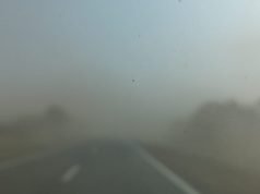 SAN JOSÉ DE LA DORMIDA: CORTE EN RUTA NACIONAL Nº 9 POR ESCASA VISIBILIDAD.