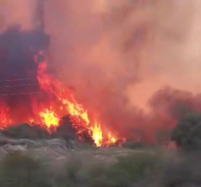 GRAN INCENDIO FORESTAL EN LA ZONA DE SAUCE PUNCO, CUESTA CALADA Y SAN VICENTE.