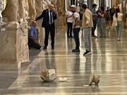 ¡SE SACÓ!: NO LO DEJARON VER AL PAPA FRANCISCO Y LA BRONCA ROMPIÓ DOS ESTATUAS DEL MUSEO DEL VATICANO.