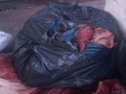 SINSACATE: DECOMISARON 150KG DE CARNE VACUNA, 100KG DE PESCADO Y 130KG DE CARNE DE JABALÍ.