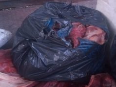 SINSACATE: DECOMISARON 150KG DE CARNE VACUNA, 100KG DE PESCADO Y 130KG DE CARNE DE JABALÍ.