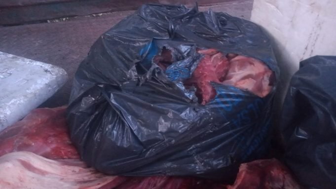 SINSACATE: DECOMISARON 150KG DE CARNE VACUNA, 100KG DE PESCADO Y 130KG DE CARNE DE JABALÍ.