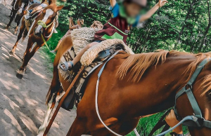 DELINCUENCIA SIN LÍMITES: ROBARON CUATRO CABALLOS DE UN CENTRO DE EQUINOTERAPIA EN EL INTERIOR DE LA PROVINCIA.