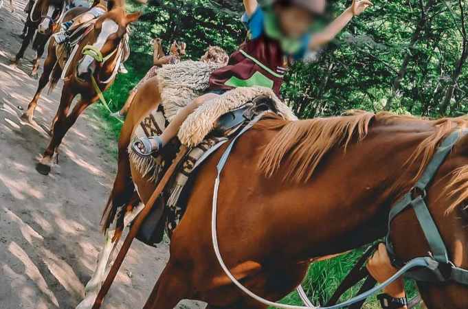 DELINCUENCIA SIN LÍMITES: ROBARON CUATRO CABALLOS DE UN CENTRO DE EQUINOTERAPIA EN EL INTERIOR DE LA PROVINCIA.