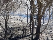 🔊 ROBERTO SCHREINER: CUATRO INCENDIOS SE MANTIENEN EN GUARDIA DE CENIZAS.