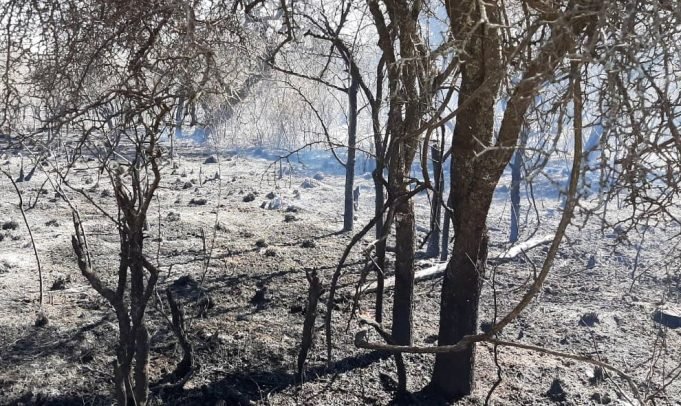 🔊 ROBERTO SCHREINER: CUATRO INCENDIOS SE MANTIENEN EN GUARDIA DE CENIZAS.