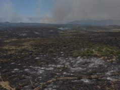 ISCHILÍN Y TULUMBA ENTRE LOS 11 DEPARTAMENTOS PRODUCTIVOS QUE INTEGRAN EL DESASTRE AGROPECUARIO TRAS INCENDIOS.