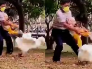 PASA EN REDES: TRANQUI EL ABUELO… USÓ A SU NIETA COMO ESCUDO HUMANO PARA DEFENDERSE DEL ATAQUE DE UN GANSO. ¡MIRÁ!