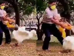 PASA EN REDES: TRANQUI EL ABUELO… USÓ A SU NIETA COMO ESCUDO HUMANO PARA DEFENDERSE DEL ATAQUE DE UN GANSO. ¡MIRÁ!