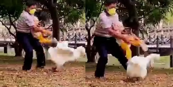 PASA EN REDES: TRANQUI EL ABUELO… USÓ A SU NIETA COMO ESCUDO HUMANO PARA DEFENDERSE DEL ATAQUE DE UN GANSO. ¡MIRÁ!