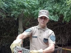 PASÓ EN CÓRDOBA: ENCONTRARON UN LAGARTO OVERO DENTRO DE UNA CASA.