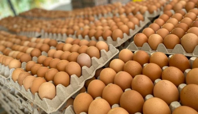 HUBO UN AUMENTO EN EL MAPLE DE HUEVOS Y EN ALGUNOS LUGARES DE CÓRDOBA CUESTA $5000.
